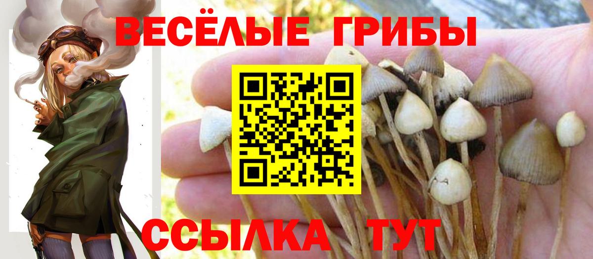 Галлюциногенные грибы прущие грибы Смоленск